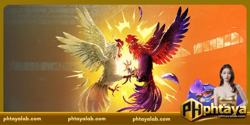 sabong-international-the-future-of-traditional-filipino-blood-sports